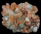 Aragonite Twinned Crystal Cluster - Morocco #59791-1